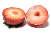アメリカ産イチゴ＜いちごの品種