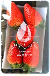 イチゴ みおしずく イチゴ みおしずく