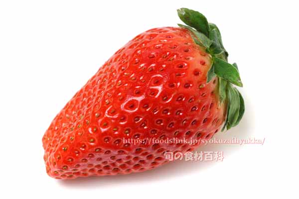 イチゴ みおしずく イチゴ みおしずく