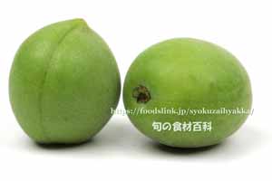 剣先梅(けんさきうめ) 剣先梅(けんさきうめ)