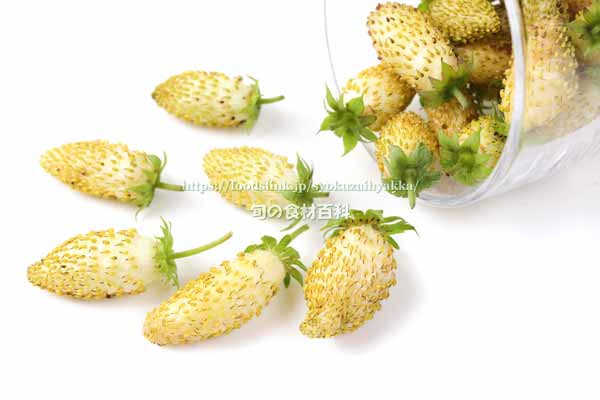 白,ワイルドストロベリー,フレーズ・デ・ボア,Alpine Yellow,Fragaria vesca,Wild strawberry