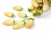 白,ワイルドストロベリー,フレーズ・デ・ボア,Alpine Yellow,Fragaria vesca,Wild strawberry