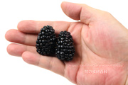 ブラックベリー　blackberry
