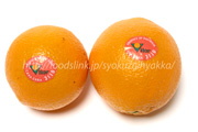 カラカラ・ネーブルオレンジ／Cara cara Orange／ルビーブラッドネーブルオレンジ