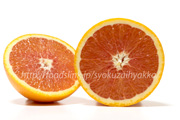 カラカラ・ネーブルオレンジ／Cara cara Orange／ルビーブラッドネーブルオレンジ