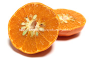 アンコール（柑橘類）の断面と果肉