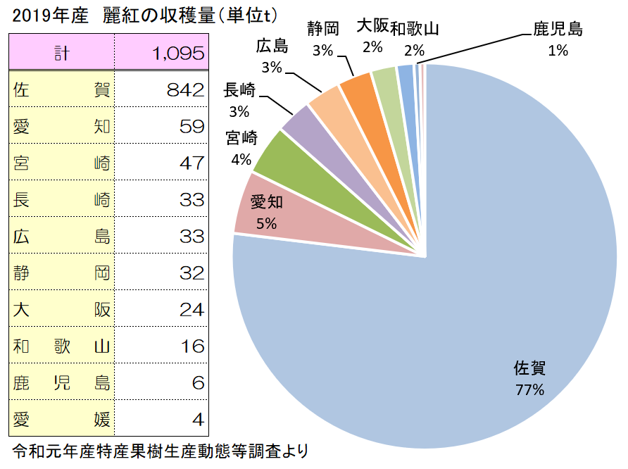 麗紅（れいこう）の全国の収穫量と産地2019