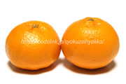 はるみ　みかん　柑橘類