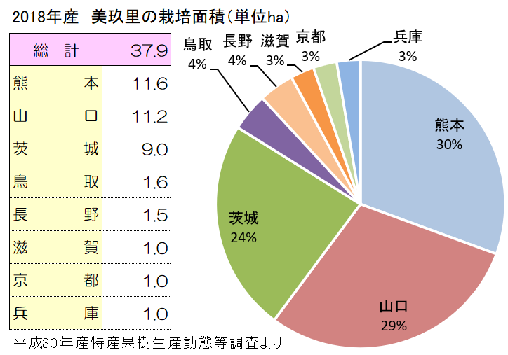 美玖里の主な産地と栽培面積