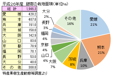 銀寄（ぎんよせ）の主な産地と栽培面積