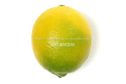 アレンユーレカ種（AllenEureka）レモン