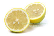 アレンユーレカ種（AllenEureka）レモンの断面