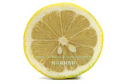 アレンユーレカ種（AllenEureka）レモンの断面