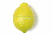 リスボン種レモン