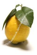 国産葉付きレモン