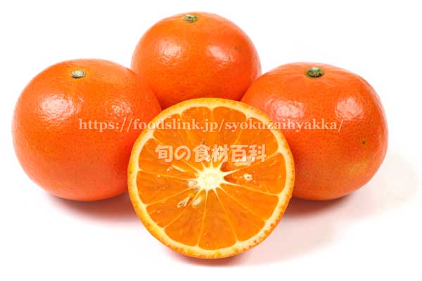 みかん「みはや」の断面 みはやの断面 みかん