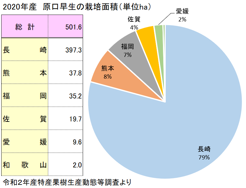 全国の原口早生の栽培面積