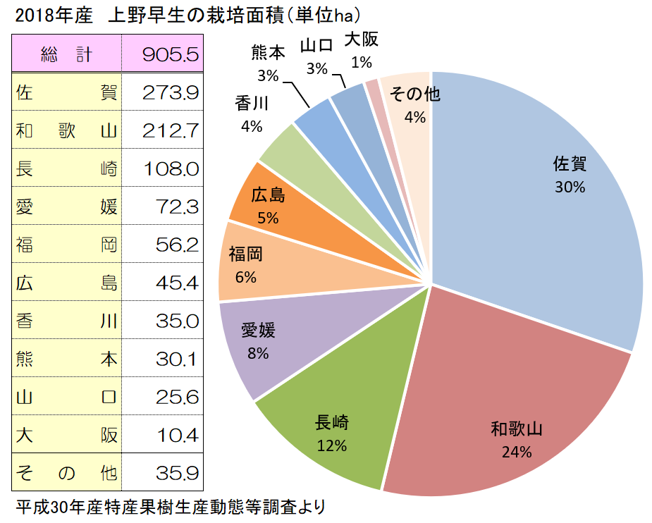 上野早生の主な産地と栽培面積