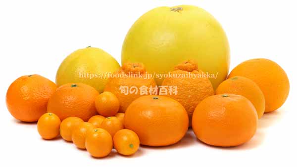 柑橘いろいろ　晩白柚、デコポン、はまさき、金柑、イヨカン、甘夏、メロゴールド