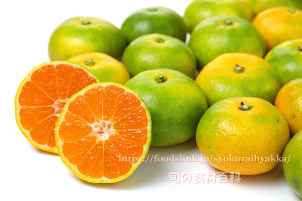 極早生みかん 南国の陽蜜(ひみつ)の断面 南国の陽蜜(ひみつ)の断面,極早生みかん