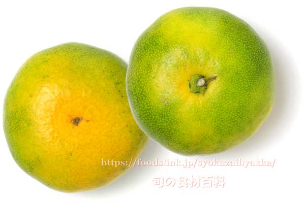 極早生みかん 南国の陽蜜(ひみつ) 南国の陽蜜(ひみつ) ,極早生みかん