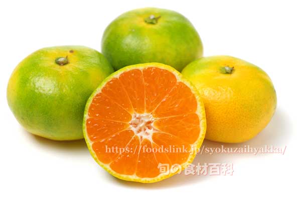 極早生みかん 南国の陽蜜(ひみつ)の断面 南国の陽蜜(ひみつ)の断面,極早生みかん