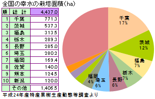 幸水（こうすい） 梨　なしの産地