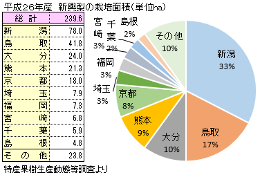 新興梨(しんこうなし)の主な産地と生産量