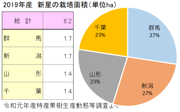 新星,,梨,栽培面積