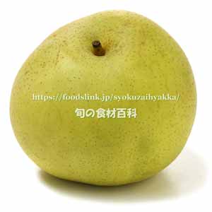 南月(なんげつ) 青ナシ 南月(なんげつ) 青ナシ