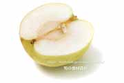 南月（なんげつ）梨の断面