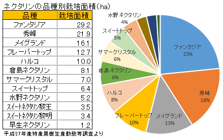 ネクタリンの主な品種と栽培面積