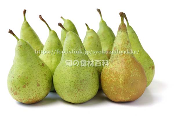 西洋梨 コンファレンス,コンフェレンス,Conference pear