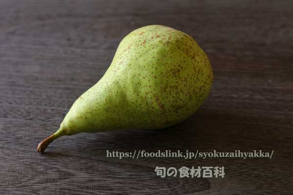 西洋梨 コンファレンス,コンフェレンス,Conference pear