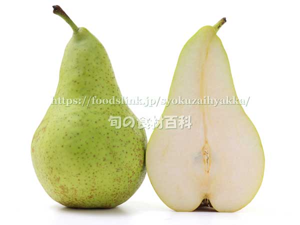 西洋梨 コンファレンスの断面,コンフェレンス,Conference pear