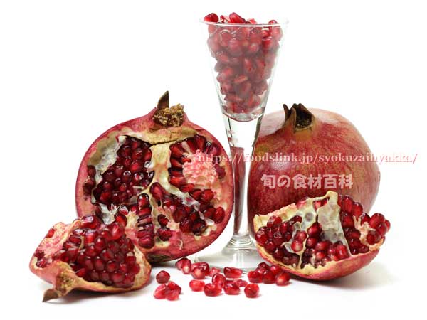 ザクロ(石榴/ざくろ) ザクロ,石榴,ざくろ,pomegranate