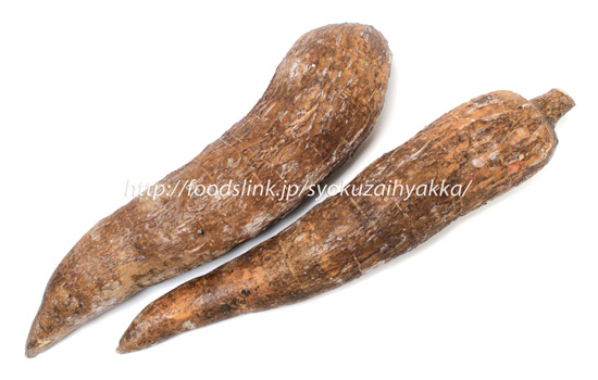 キャッサバ／Cassava