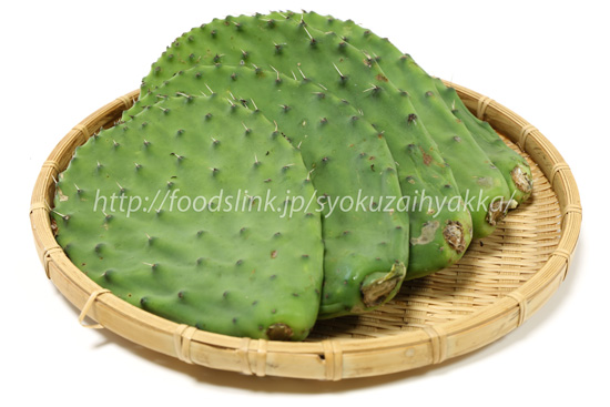 ノパール（Nopal）／食用ウチワサボテン