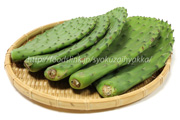 ノパール（Nopal）／食用ウチワサボテン