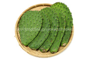 ノパール（Nopal）／食用ウチワサボテン