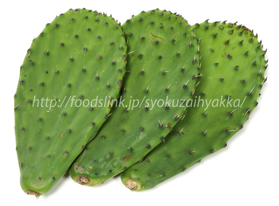 ノパール（Nopal）／食用ウチワサボテン