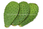 ノパール（Nopal）／食用ウチワサボテン