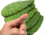 ノパール（Nopal）／食用ウチワサボテン