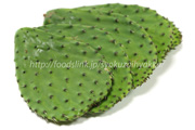 ノパール（Nopal）／食用ウチワサボテン