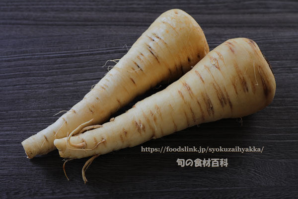 パースニップ（Parsnip）