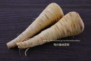 パースニップ（Parsnip）