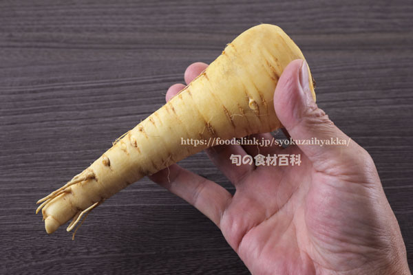 パースニップ（Parsnip）