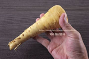 パースニップ（Parsnip）