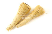 パースニップ（Parsnip）