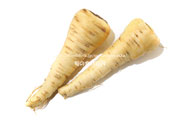 パースニップ（Parsnip）